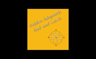 Image Hidden labyrinth - find and catch