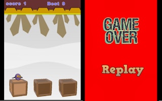 Image Right and Left